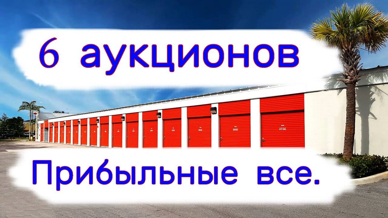 6 аукционов. Все прибыльные. смотреть онлайн
