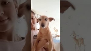 Последнее время не знаю что писать в названии прошу прощения 😅