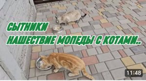 САМВЕЛ АДАМЯН, СЫТНИКИ, НАШЕСТВИЕ МОПЕДЫ С КОТАМИ..
УВАЖАЕМЫЕ ПОДПИСЧИКИ, НАЗВАНИЕ РОЛИКА ОТ АНДРЮХИ