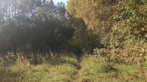 лето запоздалое