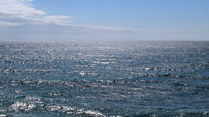 Песенная Медитация на Чайном Дворике 🎼🎧🎻🔥