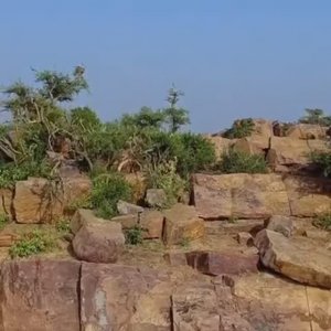 МЕДИТАЦИЯ НА ГОВАРДХАН