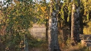 красота сентябрьского утра