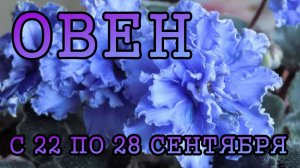 ОВЕН таро прогноз на неделю с 22 по 28 СЕНТЯБРЯ 2025 года.