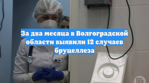 За два месяца в Волгоградской области выявили 12 случаев бруцеллеза