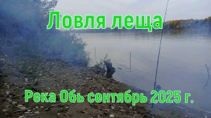 Ловля леща в сентябре на реке Обь