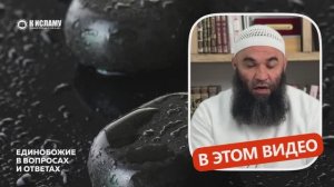 264. ФИЛОСОФИЯ ЭНЕРГИИ: РЕАЛЬНОСТЬ ИЛИ ВЫМЫСЕЛ? Шейх Салих Синди. Часть 2. Предисловие