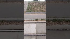 Поездки в общественном транспорте | 18-сен-2025, 2