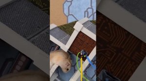 Хомячок в Лабиринте - Космическая Тюрьма