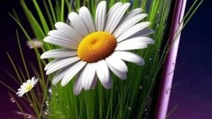 Социальный ролик .