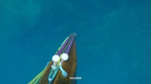 На подводную охоту с ветерком.