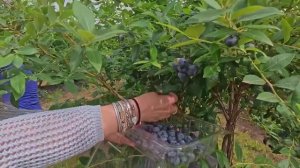УТРО ИНГУШЕТИИ 180925