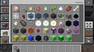 SVID_20250914_112133_1.mp4