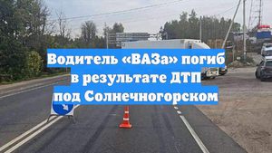 Водитель «ВАЗа» погиб в результате ДТП под Солнечногорском