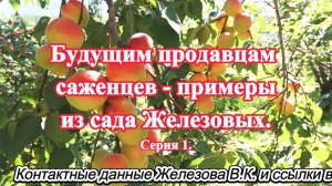 Будущим продавцам саженцев - примеры из сада Железовых. Серия 1.