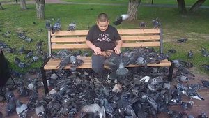 Ярик кормит голубей на Москвы фонтане 🥰🥰🥰 ролик 2025 г.