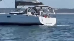 Стая касаток потопила яхту с туристами у берегов Португалии