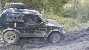 Покатушки и Бобрами