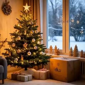 Новый Год! Дом