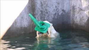 Каю понравилось прыгать с конусом в воду 15.09.2025