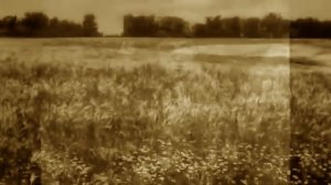 Гляжу в озера синие, муз. Л. Афанасьева, сл. И.Шаферана, из к_ф _Тени исчезают в полдень_,1971 г.