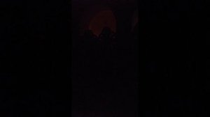 Дорогие братья и сестры! Божественная служба храм Святой Троицы