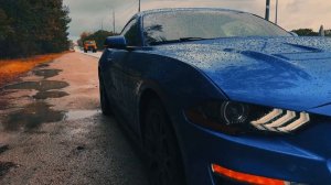 Осень пришла🍁🍂