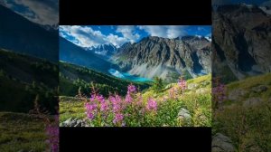 Если нет драгоценного дара любви