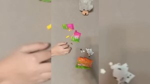 Распаковка зверятышей.