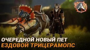 Очередной новый пет: ездовой трицератопс