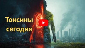 ШОКИРУЮЩАЯ ПРАВДА о токсинах: что происходит с вашим организмом прямо сейчас