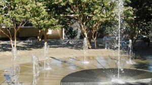 17=09=2025  КРАСНОДАР  ПАРК  ГАЛИЦКОГО.   (125)