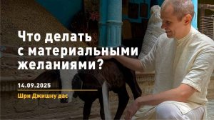 Что делать с материальными желаниями? (14.09.2025)