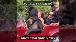 Социальная реклама!