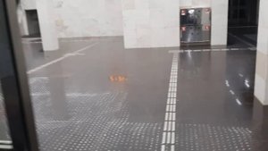 Воробьевы горы. вечер 11.09.25
