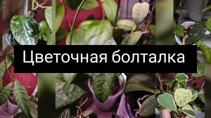 цветочная болталка