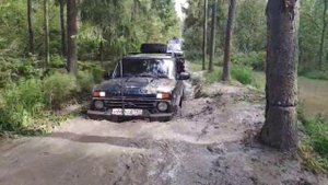 Покатушки и Бобрами