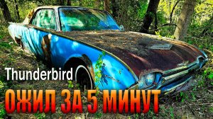 Этот Thunderbird  простоял 40 лет в лесу.  ЗАвелся с ПЕРВОГО РАЗА и  звук мотора ШОКИРУЕТ
