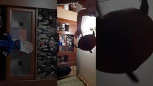 обзор на большого пельменя