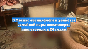 В Москве обвиняемого в убийстве семейной пары пенсионеров приговорили к 20 годам