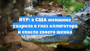 NYP: в США женщина ударила в глаз аллигатора и спасла своего щенка