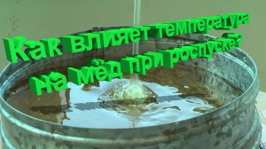 Как правильно растопить мёд, чтобы не потерять пользу? Лайфхаки от профессора Кашковского