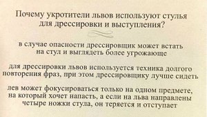 Большая дурацкая викторина "Внимание Вопрос". Анонс новой рубрики.