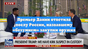 Премьер Дании ответила послу России, назвавшему «безумием» закупки оружия