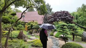 Японский сад Ogrod Польша.