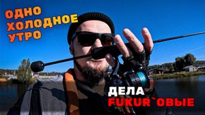 Дела осенние и FUKURU комплект