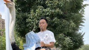 Они быстрее Tesla: мужчина 10 лет ездит по улицам верхом на страусах