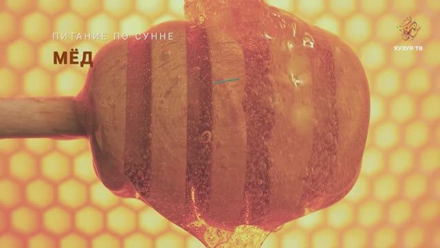 Мёд | Питание по сунне