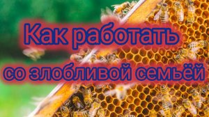 Как работать со злобливой семьёй