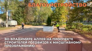 Во Владимире аллея на проспекте Строителей готовится к масштабному преображению